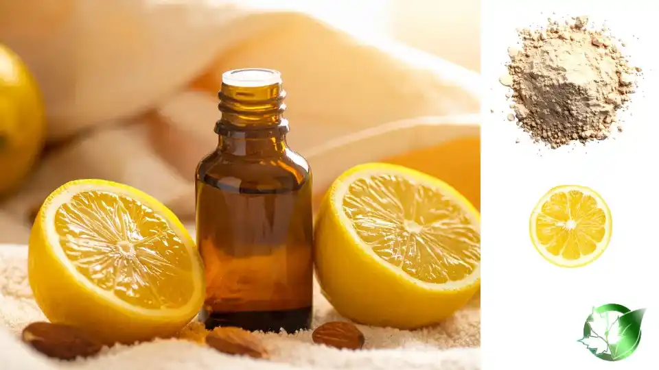 Supplier evaluation for Lemon Jelly Powder should cover specification, packaging, documentation, logistics, and landed commercial cost.